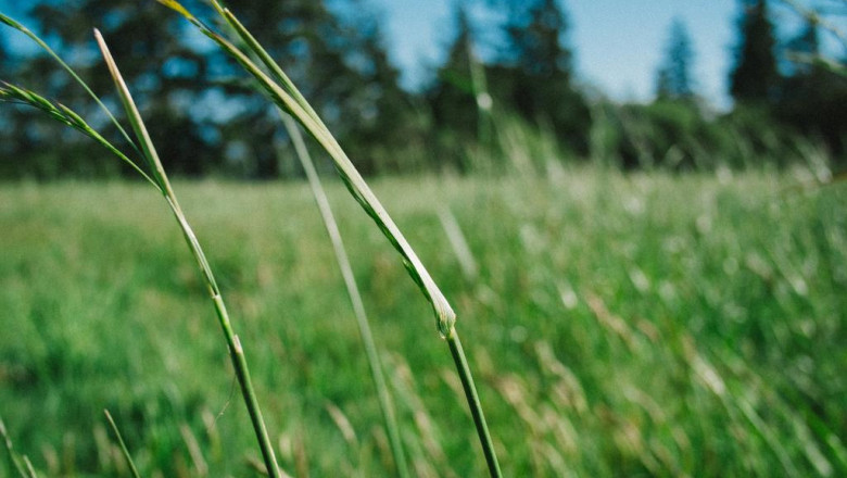 the biggest trends in swift programming course online weve seen this year