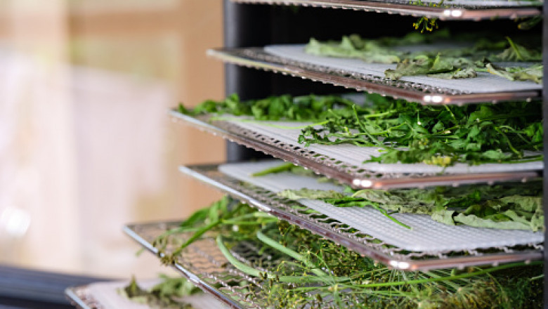 What do You Mean by a Food Dehydrator?