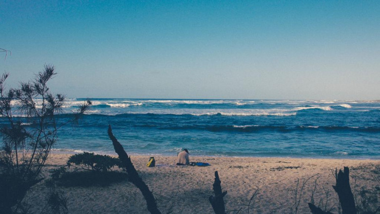 12 companies leading the way in detoxication