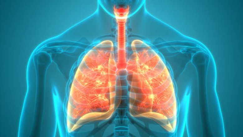 Chronic Obstructive Pulmonary Disease Treatment Market - The Biggest Trends to Watch out for 2022-2027