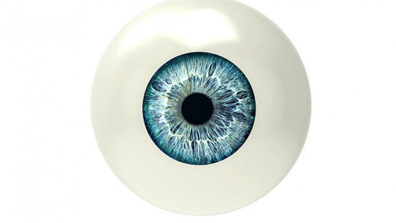 Artificial Eye Market COVID-19 Research Analysis, Strategic Insights and Forecast to 2027