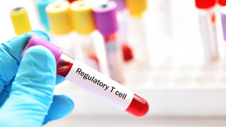 Flow cytometer reagents Market Size Expected to Demonstrate Optimal Growth at a Healthy CAGR by 2027