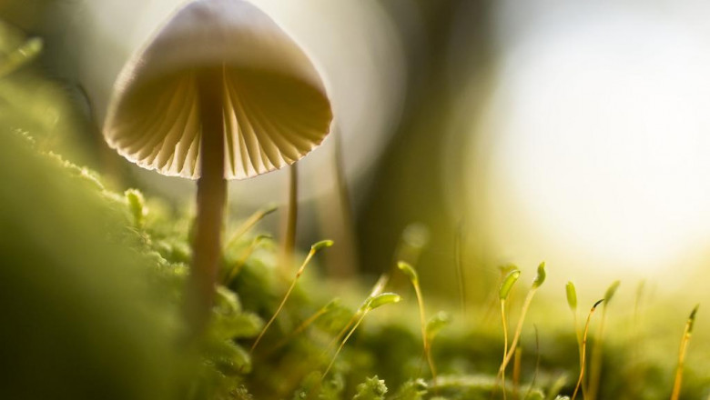 20 insightful quotes about dkstyle