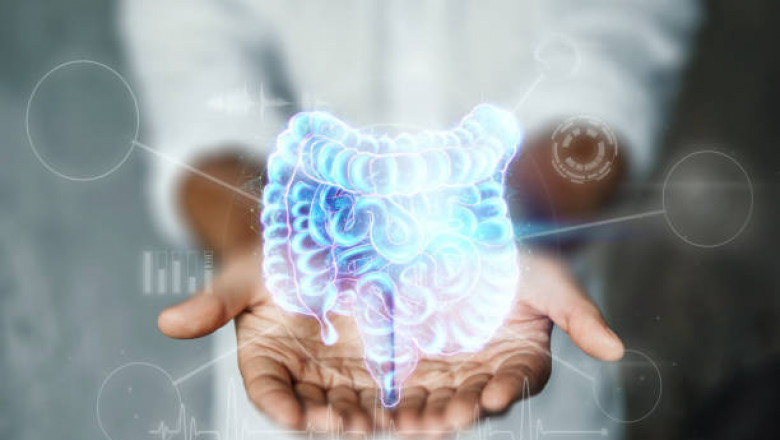 Inflammatory Bowel Disease Treatment Market Study, Trends, Overview, Insights And Outlook By 2027
