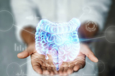 Inflammatory Bowel Disease Treatment Market Study, Trends, Overview, Insights And Outlook By 2027
