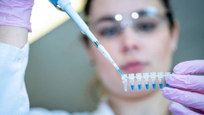 Stem Cell Therapy Market Detailed Opportunities, Growth Drivers, Trends, and Challenges Impacting By 2027