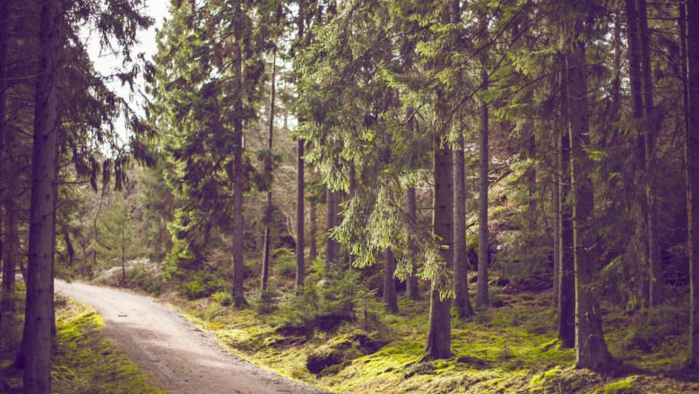 where to find guest blogging opportunities on better website design