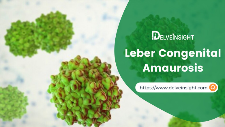 What is the Leber Congenital Amaurosis Market Share?