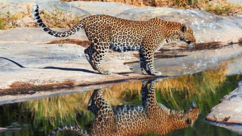 Adventures in Shenandoah National Park