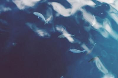 the best guide to what is the best car insurance