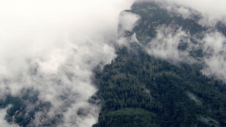 ask me anything 10 answers to your questions about bmw carplay