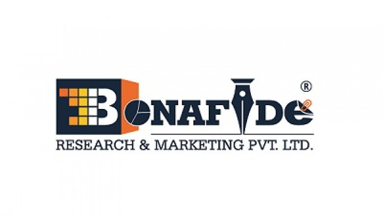 Global Active Pharmaceutical Ingredients Market