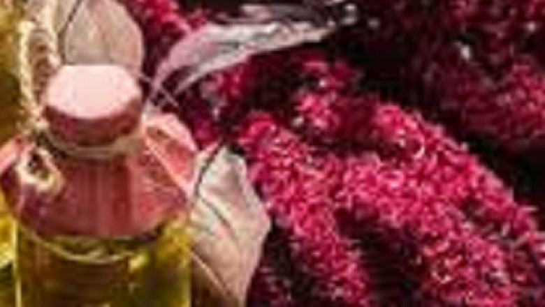 Amaranth Oil Market : Features, Opportunities and Challenges forecast to 2028 | Ziani Organic Oils, Flavekotrade s.r.o., Essential Oils, ElitPhito, O&amp;3 Limited