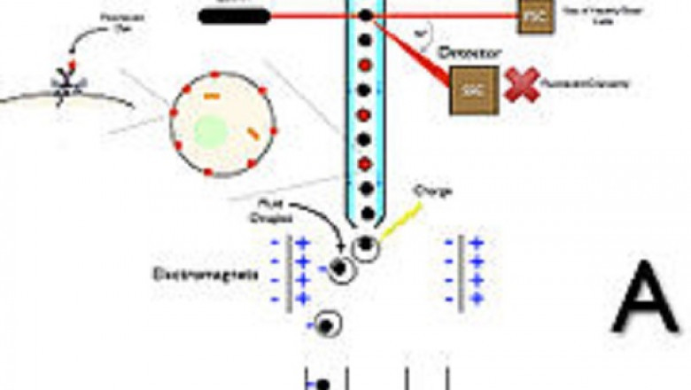 Cell Sorting Market – Global Industry Trends &amp; Forecast to 2028