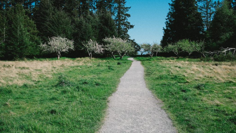 how successful people make the most of their bmw android navigation