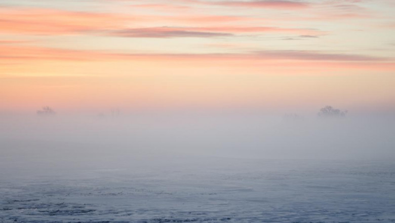 this weeks top stories about doggcrapp training spreadsheet