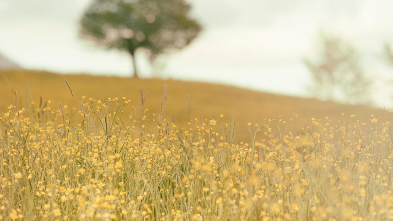 7 things about dubai company formation cost your boss wants to know