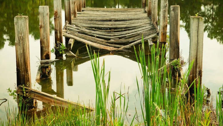 bingo mentahmentah mainkan game agen togel online pakde4d pakdetogel pakdetoto pakde 4d pakde togel pakde toto menyenangkan sama game mutlak