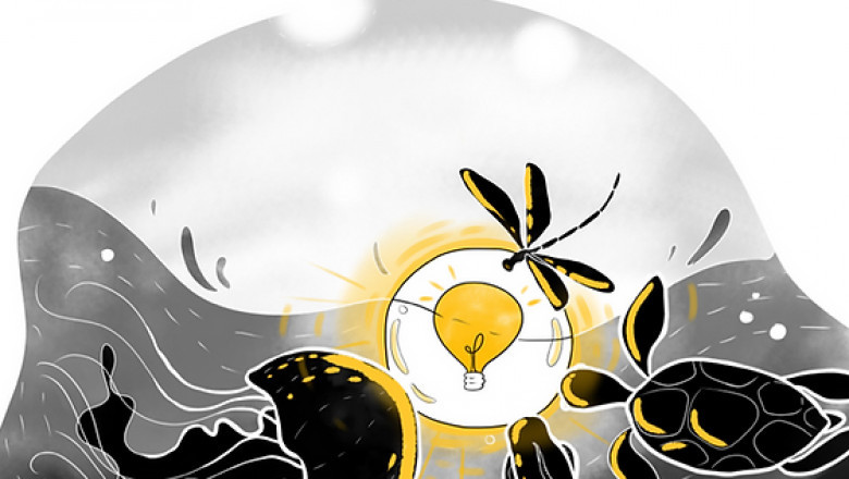 Education for Online Whiteboard