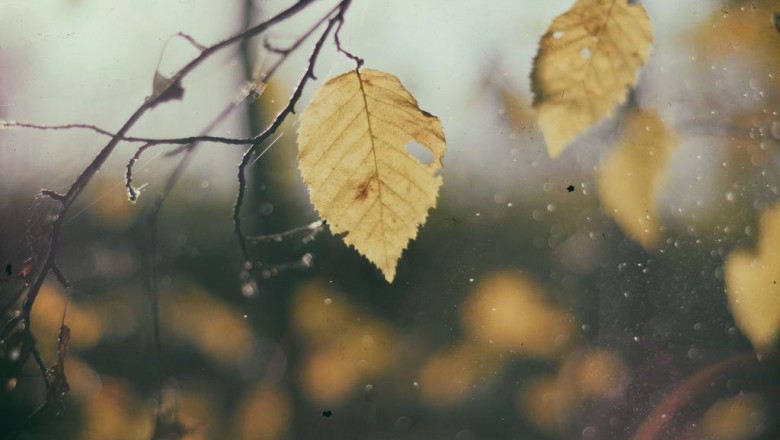 amazing health benefits of message chairs