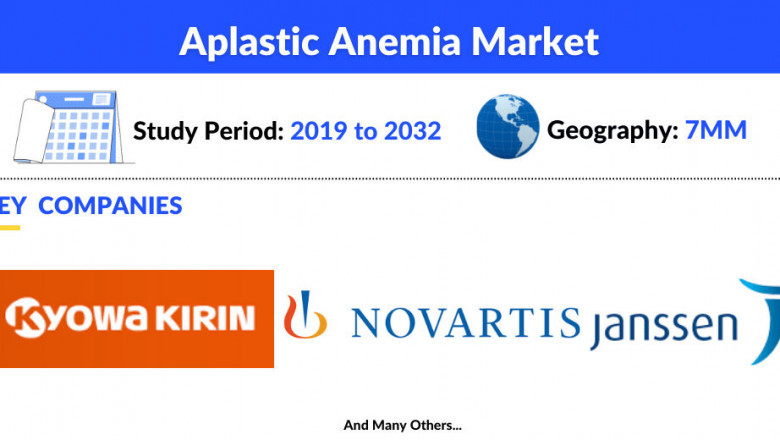 Aplastic Anemia Market Share, Size, Insights and Forecast 2032