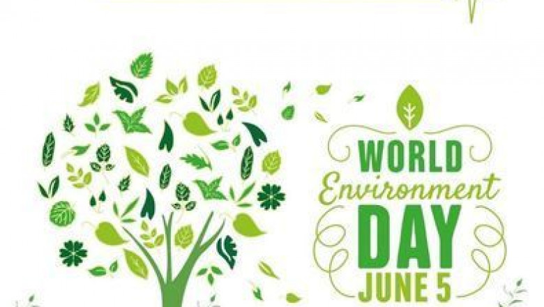 Computer Support Specialist