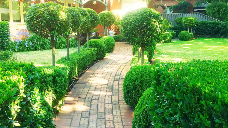 Landscapers In Melbourne | GardenMore