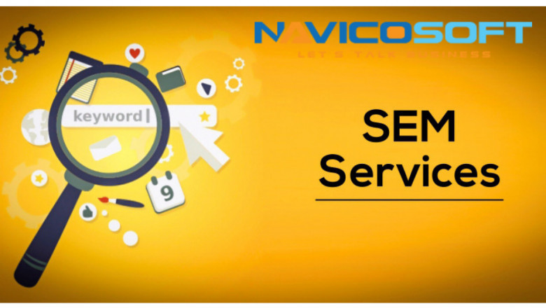 Why should companies hire an SEM Consultant?