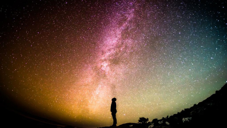 find physiology tutors online at affordable prices