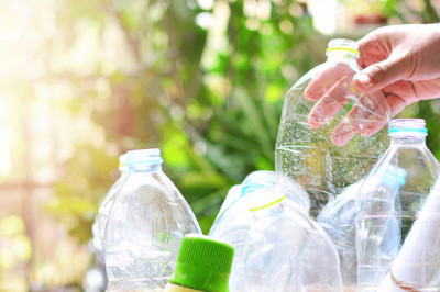 Global Biodegradable Plastic Market Study