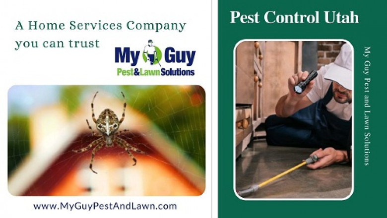 Control pests with the help of My Guy Pest and Lawn in Utah