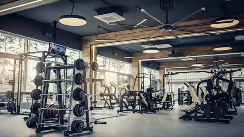 Does Gym Help In Losing Weight?