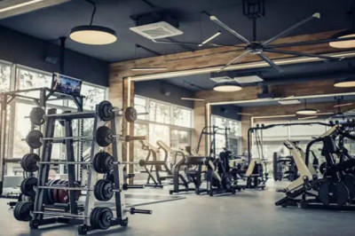 Does Gym Help In Losing Weight?