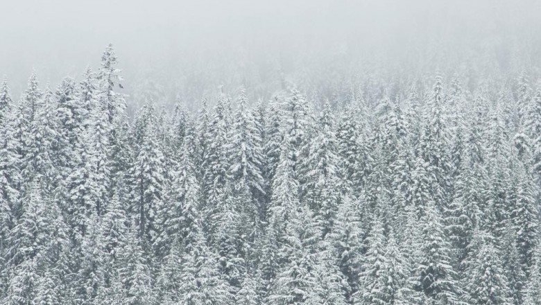 smart traveling suggestions for brand spanking new tourists