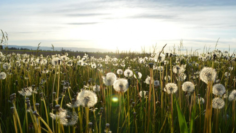 things to organize for an optimal triathlon