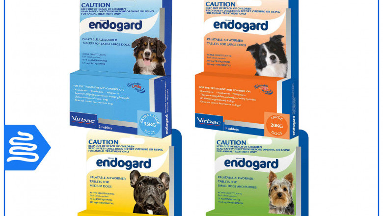 Endogard Allwormer for Dogs Worm Treatment