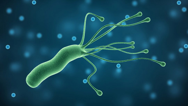 Helicobacter Pylori Diagnostics Market Business idea's and Strategies forecast 2028