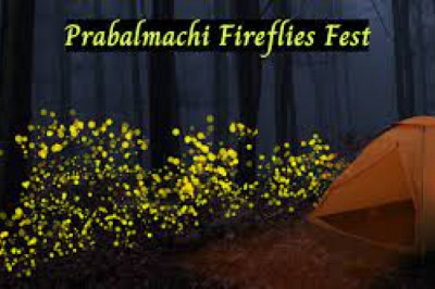 Prabalmachi Fireflies Camping & Trekking