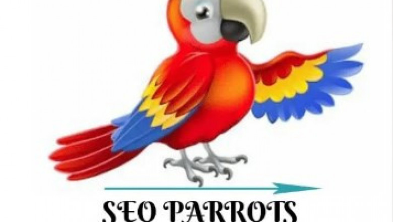 SEO freelancer in Bangalore