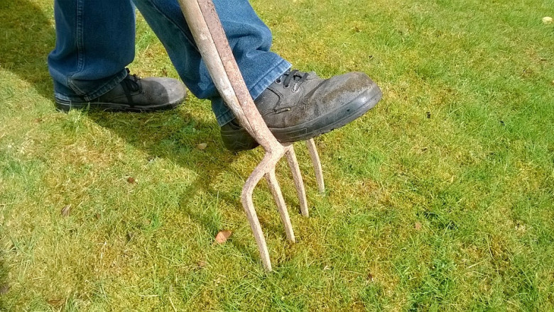 What is Lawn Scarification?