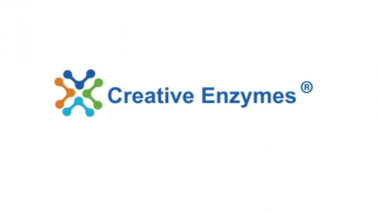 Creative Enzymes to Present at the BIO International Convention on June 13-16th, 2022