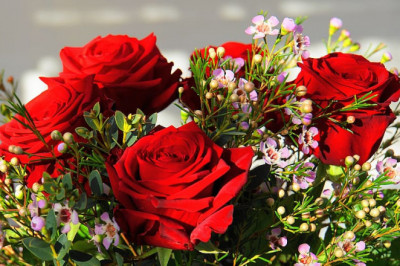 Flower Delivery in Jalandhar