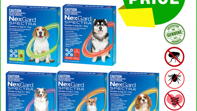 NEXGARD SPECTRA for Dogs 3 Chews Flea Worm Treatment