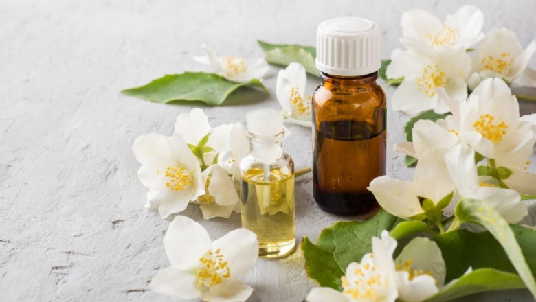 Jasmine Oil The King Of Essential Oil