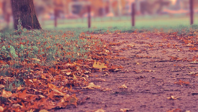 was cash app hacked 2022