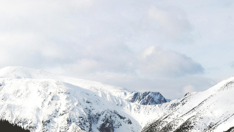 an easy overview to small company accountancy accounting