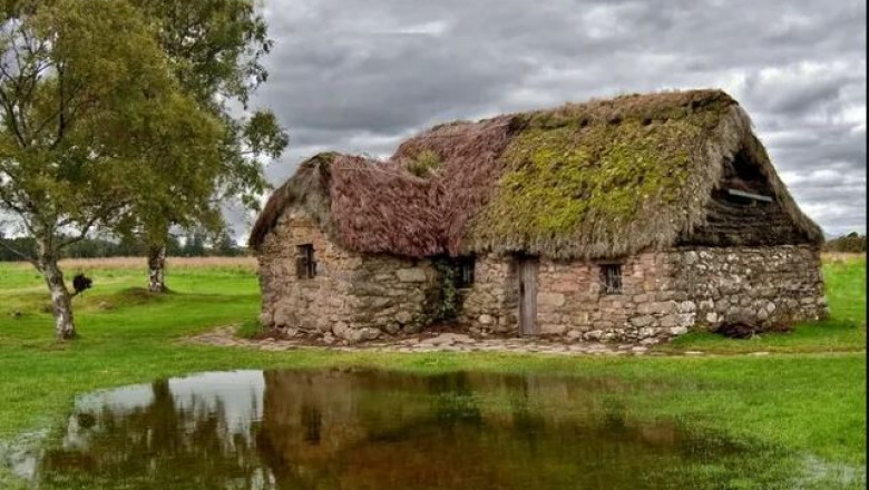 Battlefield Relic, the Only Witness Left Standing to the Battle of Culloden