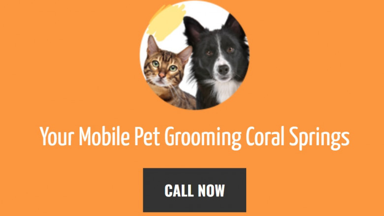 Pet Grooming Desires - Why Grooming Is essential for Pets?