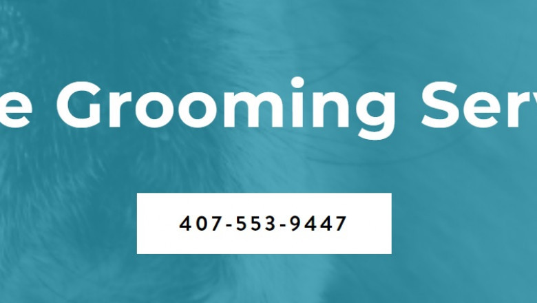 Pet Grooming Is More than a Minor Luxury