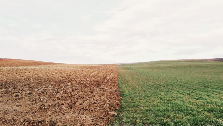 shrkh trmym fll blqsym